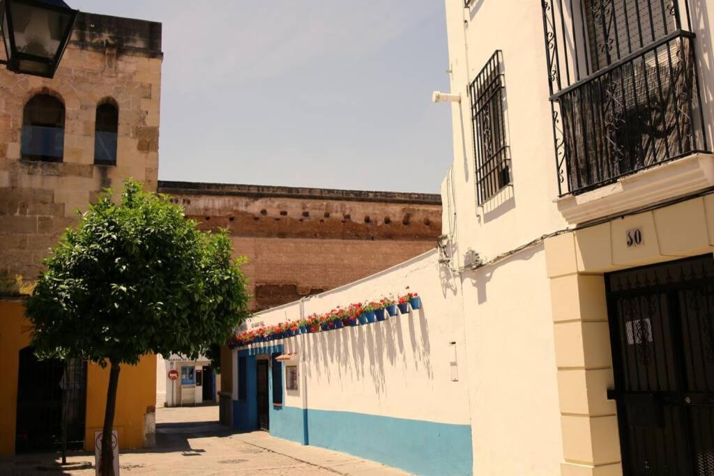 Calle San Basilio - Patios. Aparcamiento Gratis Córdoba Exterior foto