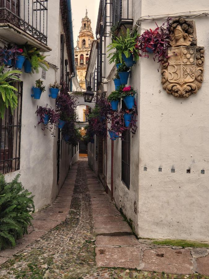 Calle San Basilio - Patios. Aparcamiento Gratis Córdoba Exterior foto